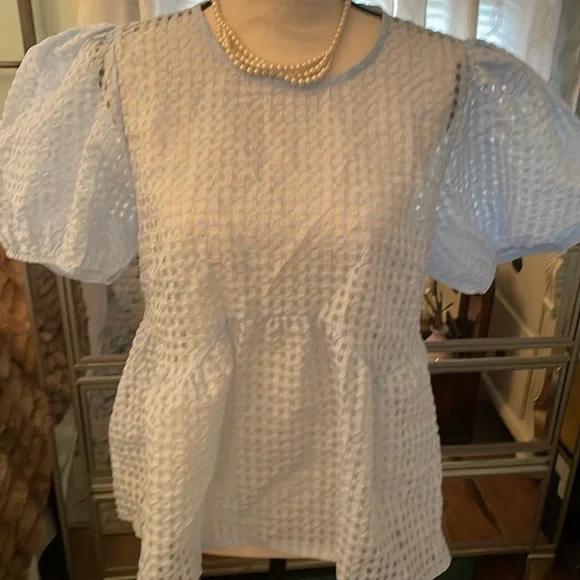 😍 NWT Anthropologie powder blue, mesh-like puffed sleeve top. L. Gorg!! - Picture 3 of 11
